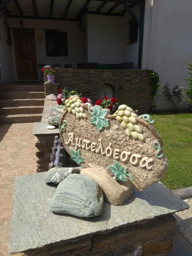 Apartamento Ampeloessa Mési Exterior foto