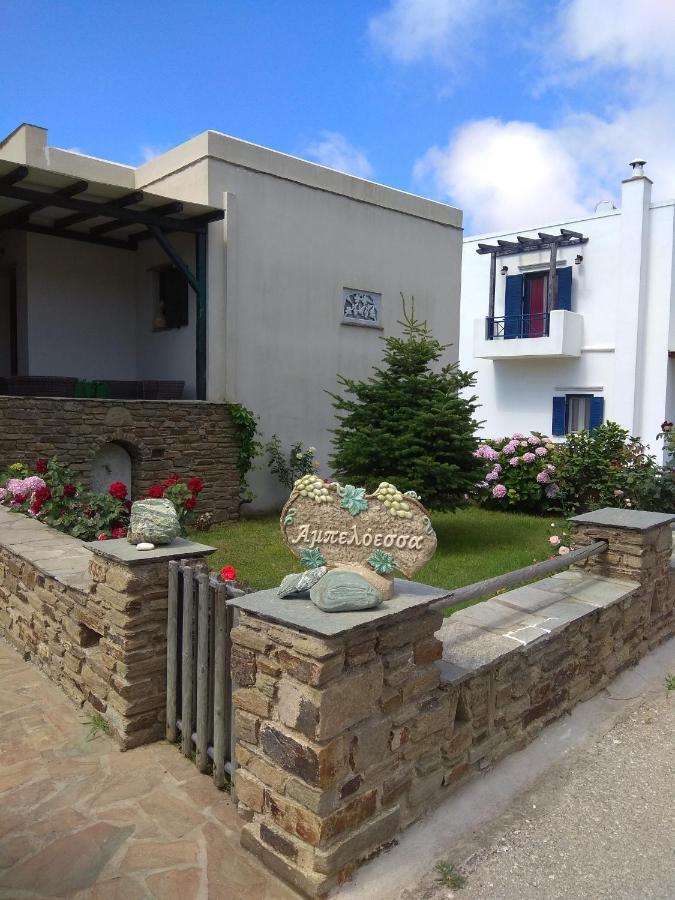Apartamento Ampeloessa Mési Exterior foto
